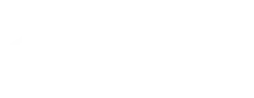 Adrenaline Rush logo